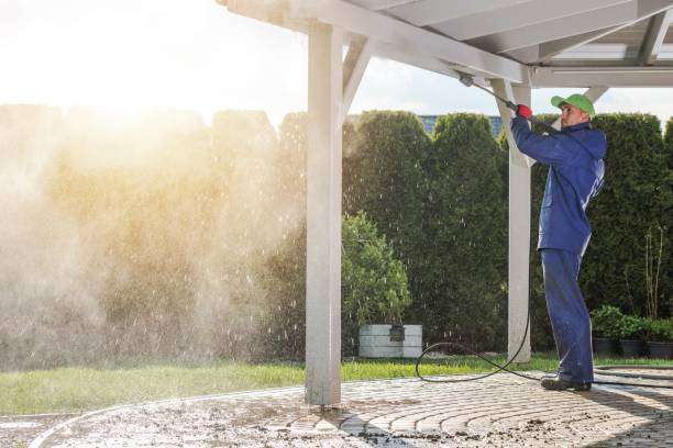 Best Dumpster Area Cleaning  in Galena, IL