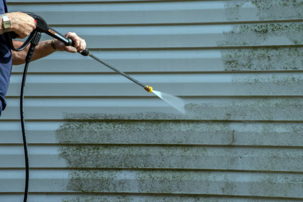Best Fence Cleaning  in Galena, IL